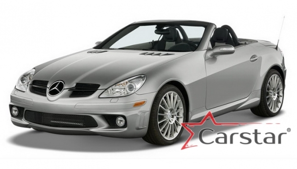 Двухслойные коврики EVA для Mercedes-Benz SLK-klasse II R171 (2004-2011)