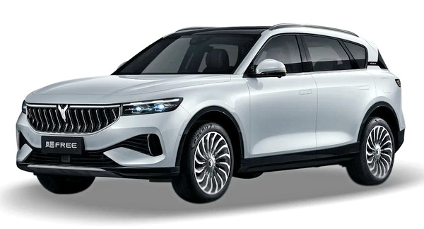 Текстильные коврики для Voyah Free (2021->)