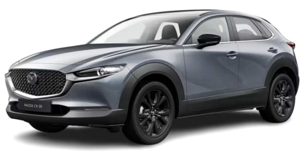 Автомобильные коврики EVA 3D для Mazda CX-30 (2019->)